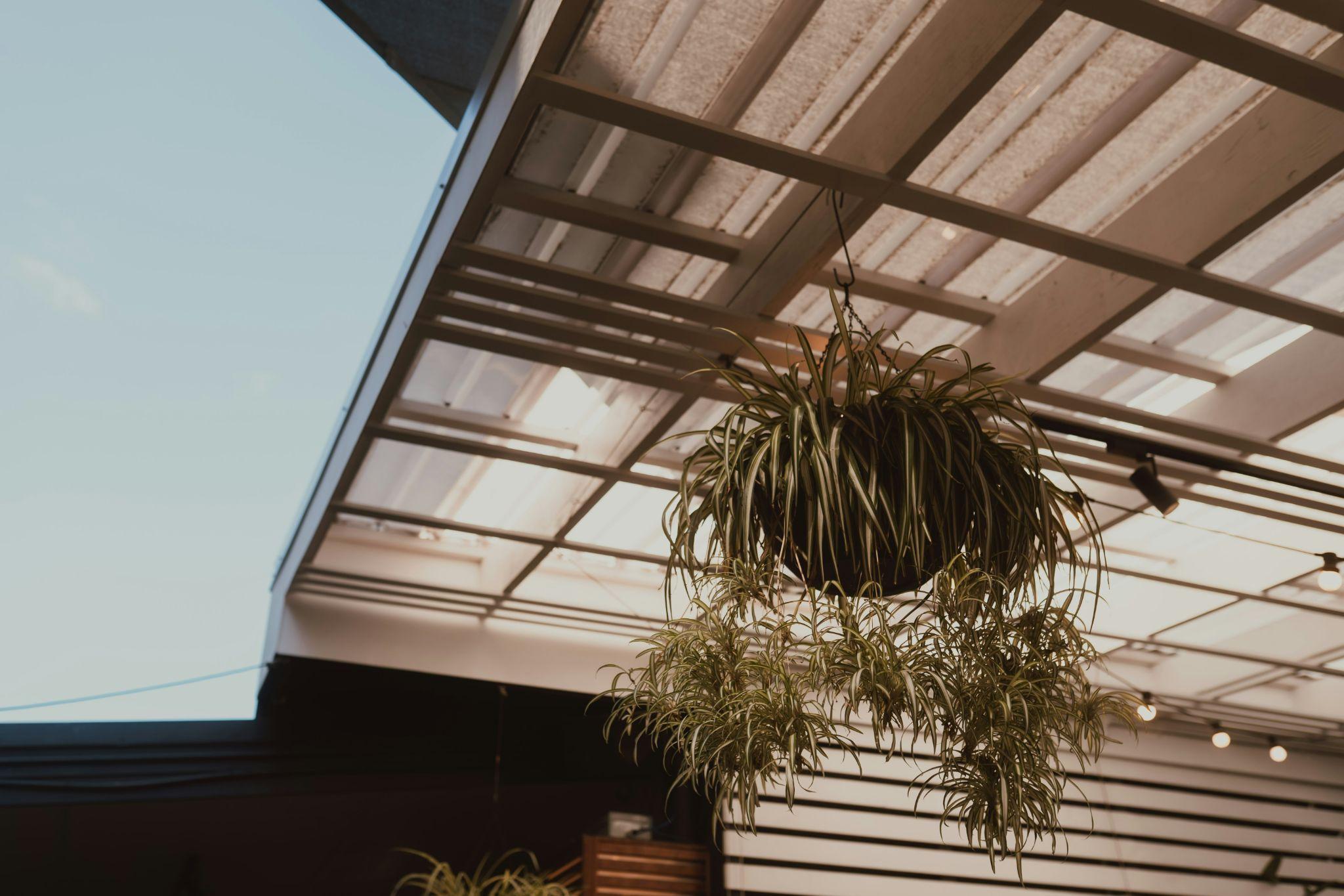 A covered outdoor space showcases stylish patio covers in Shaver Lake.